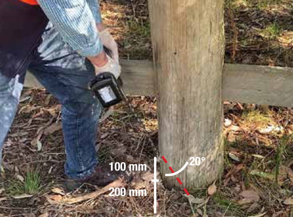 Utility pole treated with Polesaver Rods PS10 in situ remedial decay and termite protection for commercial poles