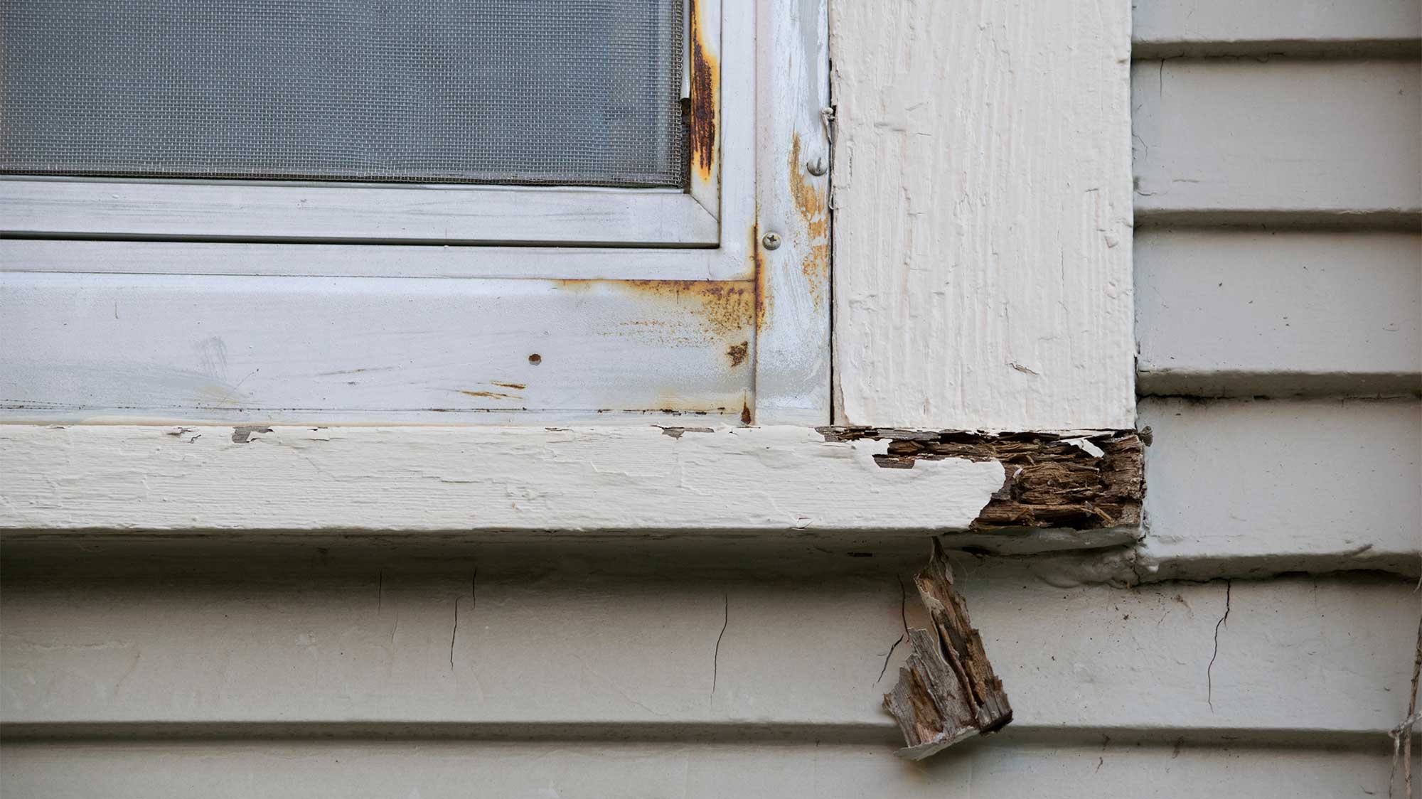 How to protect timber window frames from Rot?