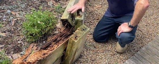  Timber Retaining Wall Rotting?