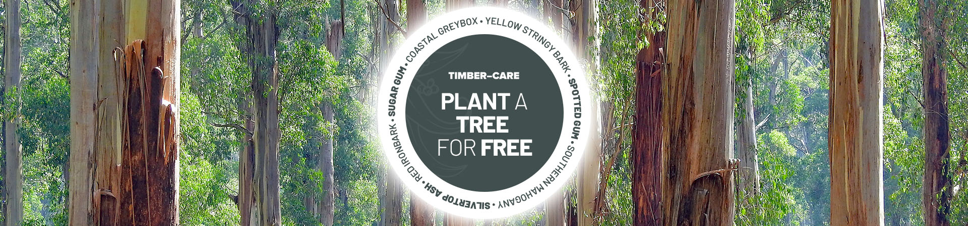Plant A Tree For Free
